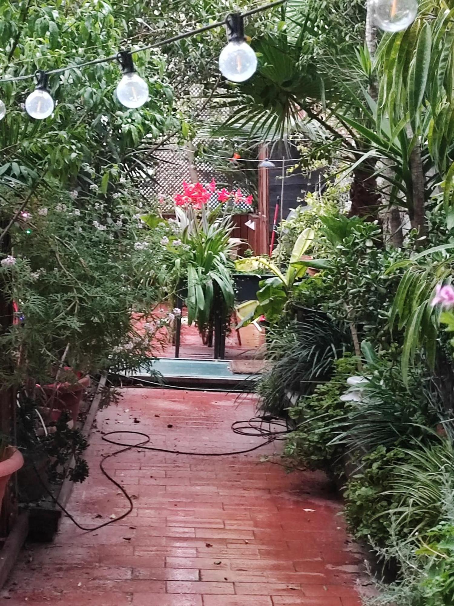 Jardin Secreto En El Centro De 2 Luxe tent Barcelona